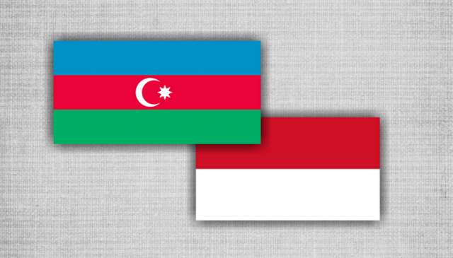 Azerbaijan ready for co-op with Indonesia in energy sector